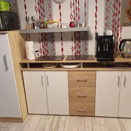 Feriendomizil Burgert Naehe Europapark 基彭海姆