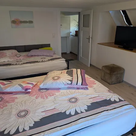 公寓 Feriendomizil Burgert Naehe Europapark