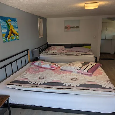 Feriendomizil Burgert Naehe Europapark * Kippenheim